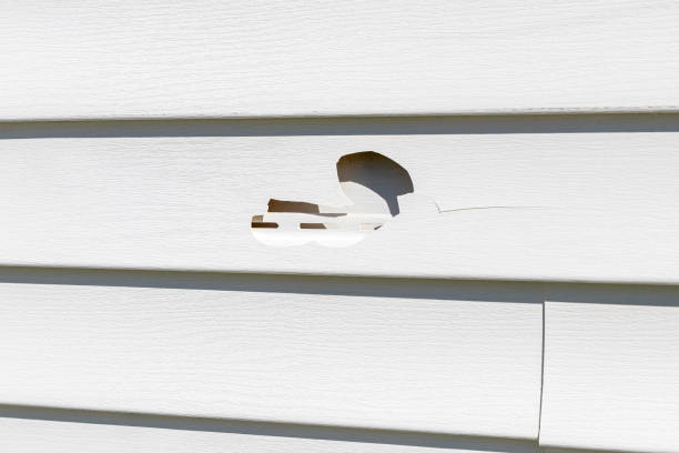 Professional Siding Installation in Telford, PA